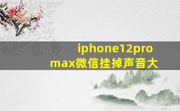 iphone12pro max微信挂掉声音大